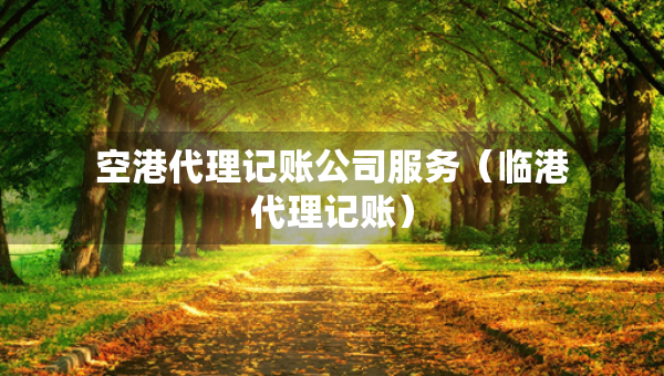 空港代理记账公司服务（临港代理记账）