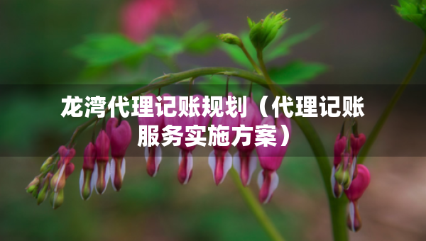 龙湾代理记账规划（代理记账服务实施方案）