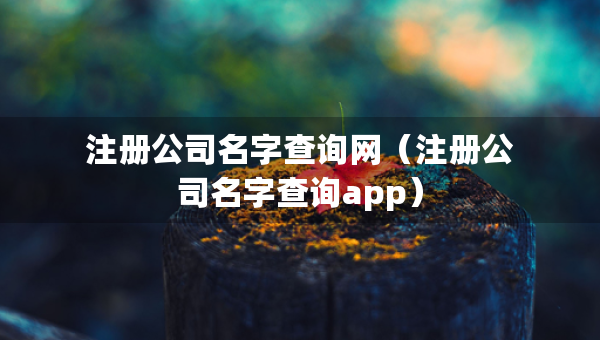 注册公司名字查询网（注册公司名字查询app）