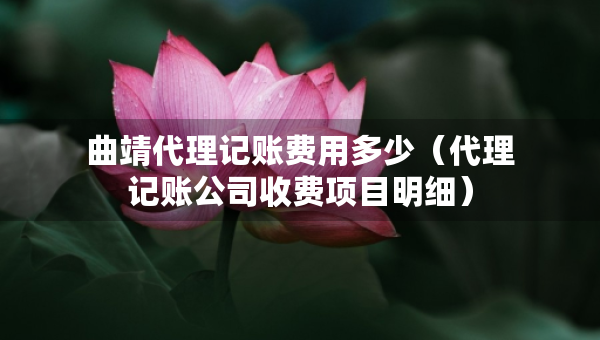 曲靖代理记账费用多少（代理记账公司收费项目明细）