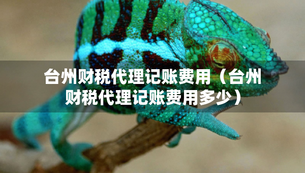 台州财税代理记账费用（台州财税代理记账费用多少）