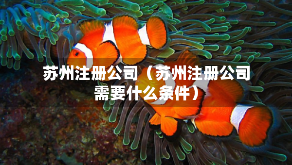 苏州注册公司（苏州注册公司需要什么条件）