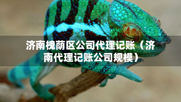 济南槐荫区公司代理记账（济南代理记账公司规模）