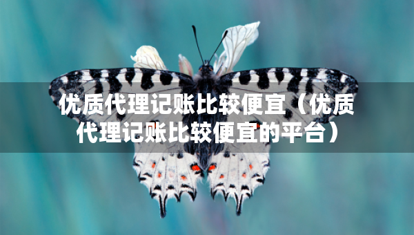 优质代理记账比较便宜（优质代理记账比较便宜的平台）