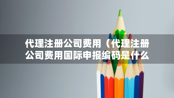 代理注册公司费用（代理注册公司费用国际申报编码是什么）