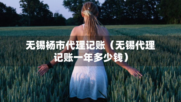 无锡杨市代理记账（无锡代理记账一年多少钱）