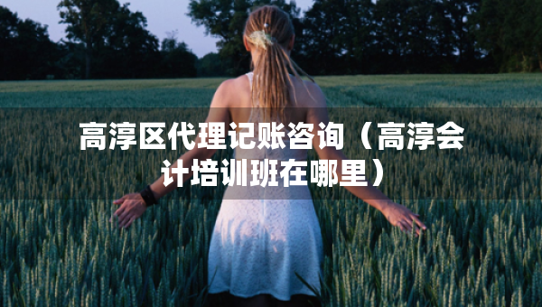 高淳区代理记账咨询（高淳会计培训班在哪里）