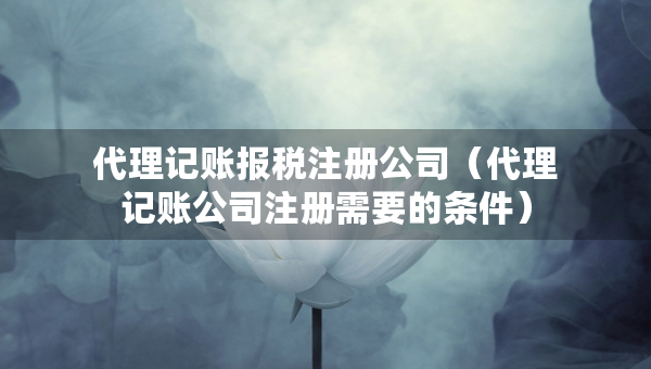 代理记账报税注册公司（代理记账公司注册需要的条件）
