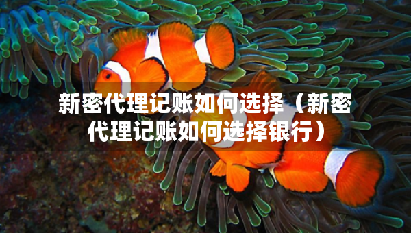 新密代理记账如何选择（新密代理记账如何选择银行）