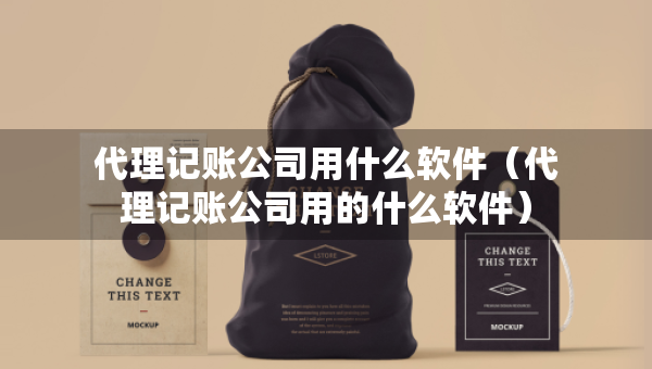 代理记账公司用什么软件（代理记账公司用的什么软件）