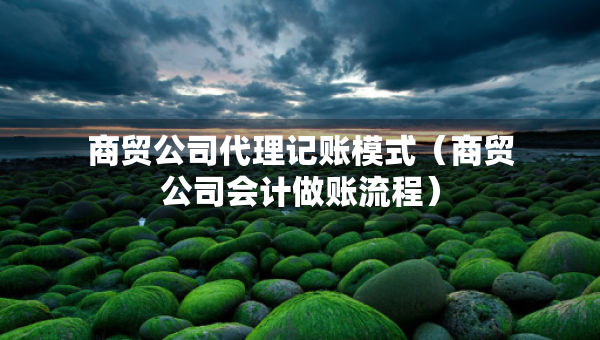 商贸公司代理记账模式（商贸公司会计做账流程）