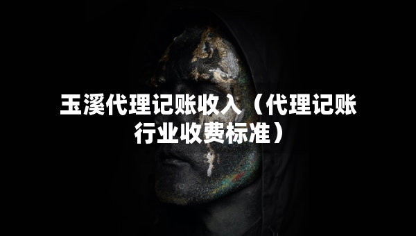 玉溪代理记账收入（代理记账行业收费标准）