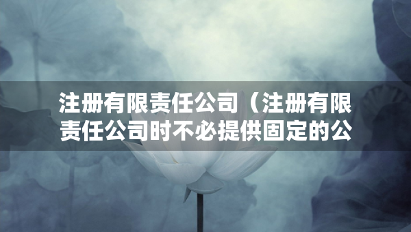 注册有限责任公司（注册有限责任公司时不必提供固定的公司住所）