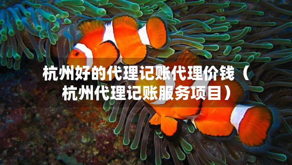 杭州好的代理记账代理价钱（杭州代理记账服务项目）