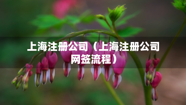 上海注册公司（上海注册公司网签流程）