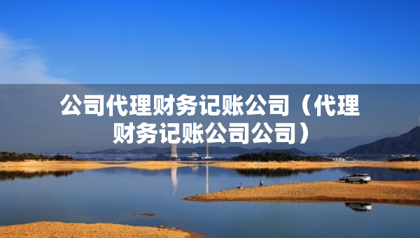 公司代理财务记账公司（代理财务记账公司公司）