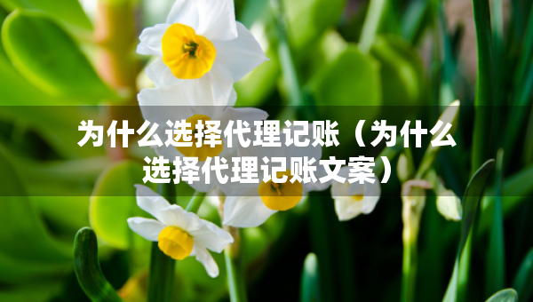 为什么选择代理记账（为什么选择代理记账文案）