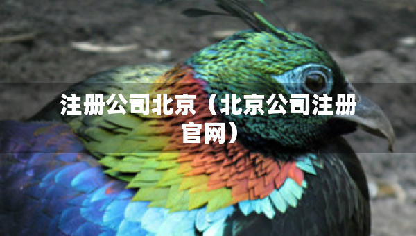 注册公司北京（北京公司注册官网）