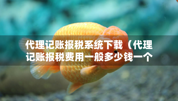 代理记账报税系统下载（代理记账报税费用一般多少钱一个月）