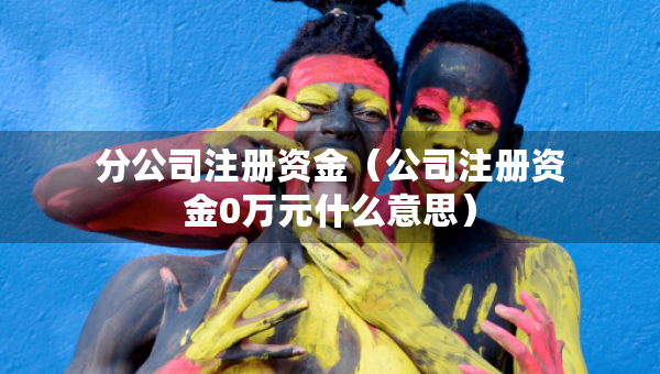 分公司注册资金（公司注册资金0万元什么意思）