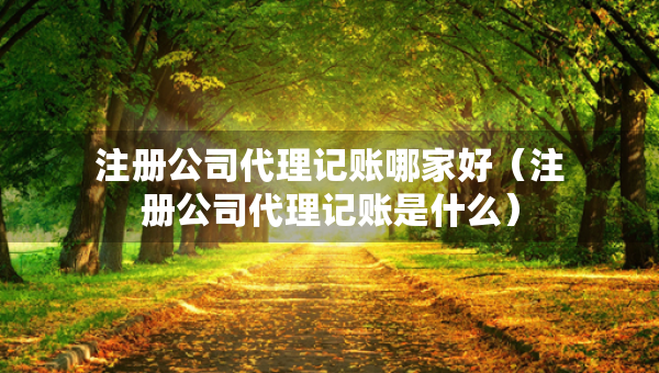 注册公司代理记账哪家好（注册公司代理记账是什么）