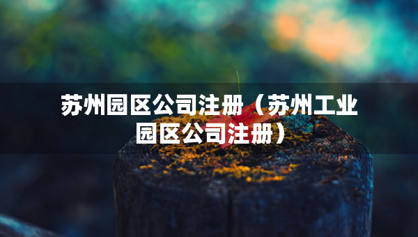 苏州园区公司注册（苏州工业园区公司注册）