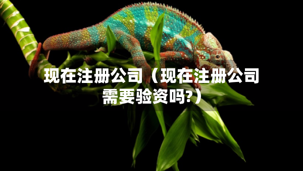 现在注册公司（现在注册公司需要验资吗?）