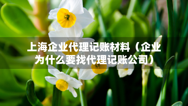 上海企业代理记账材料（企业为什么要找代理记账公司）
