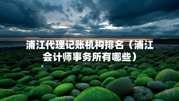 浦江代理记账机构排名（浦江会计师事务所有哪些）
