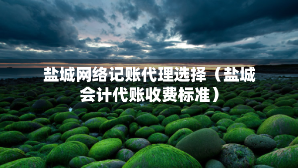 盐城网络记账代理选择（盐城会计代账收费标准）