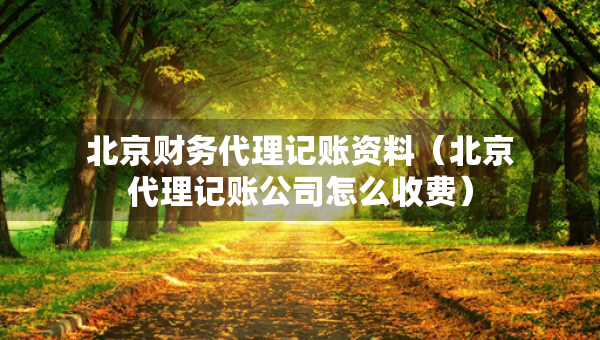 北京财务代理记账资料（北京代理记账公司怎么收费）