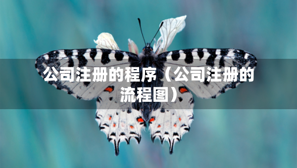 公司注册的程序（公司注册的流程图）