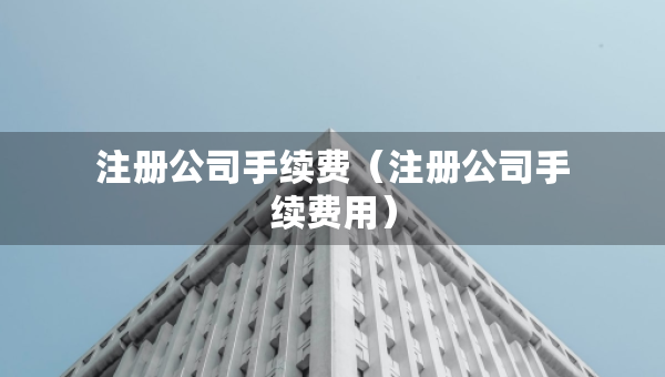 注册公司手续费（注册公司手续费用）