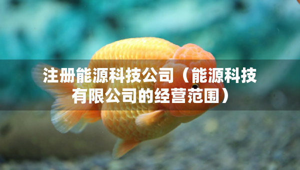 注册能源科技公司（能源科技有限公司的经营范围）