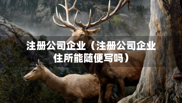 注册公司企业（注册公司企业住所能随便写吗）