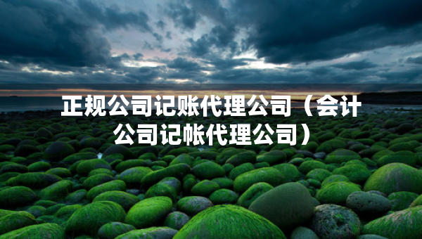 正规公司记账代理公司（会计公司记帐代理公司）
