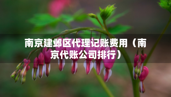 南京建邺区代理记账费用（南京代账公司排行）