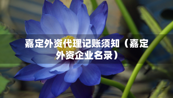 嘉定外资代理记账须知（嘉定外资企业名录）