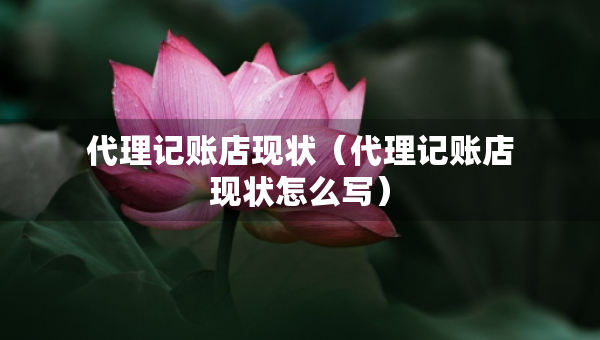 代理记账店现状（代理记账店现状怎么写）