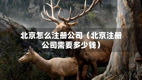 北京怎么注册公司（北京注册公司需要多少钱）