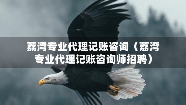 荔湾专业代理记账咨询（荔湾专业代理记账咨询师招聘）