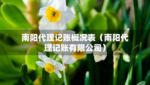 南阳代理记账概况表（南阳代理记账有限公司）