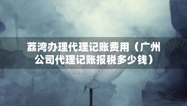 荔湾办理代理记账费用（广州公司代理记账报税多少钱）