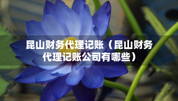 昆山财务代理记账（昆山财务代理记账公司有哪些）