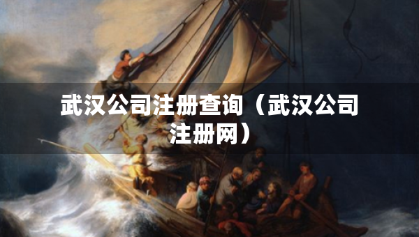 武汉公司注册查询（武汉公司注册网）