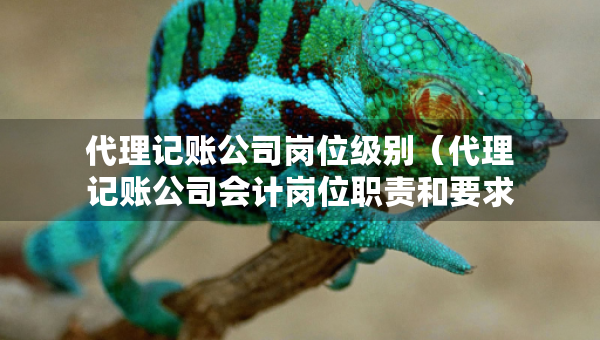 代理记账公司岗位级别（代理记账公司会计岗位职责和要求）