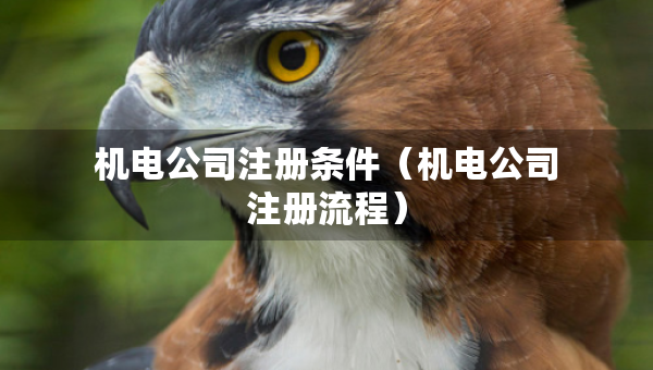 机电公司注册条件（机电公司注册流程）