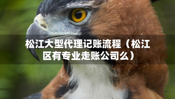 松江大型代理记账流程（松江区有专业走账公司么）