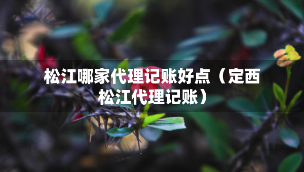 松江哪家代理记账好点（定西松江代理记账）