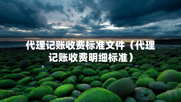 代理记账收费标准文件（代理记账收费明细标准）